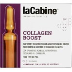 Fiole pentru ten Collagen Boost, 10 fiole x 2 ml, La Cabine