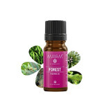 Mayam-Parfumant Forest M-1519, 10 ml