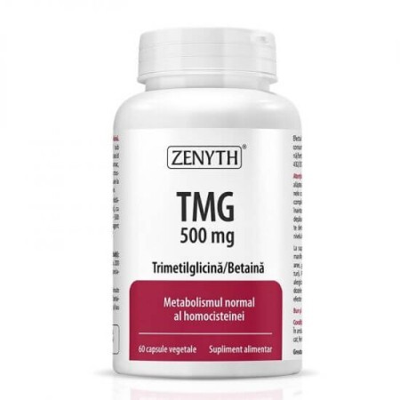 TMG, 500 mg, 60 capsule, Zenyth