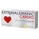 Extravalerianic Cardio