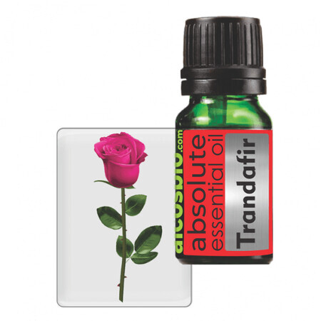 Ulei esential Absolut Trandafir, 5 ml, Alcos Bioprod