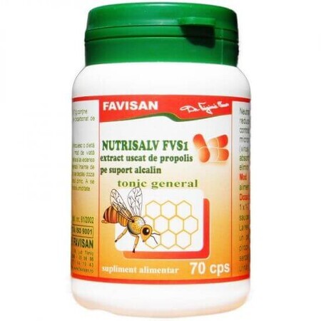 Nutrisalv FVS1, 70 capsule, Favisan