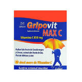 GripoVit Max C, 12 plicuri, Zdrovit