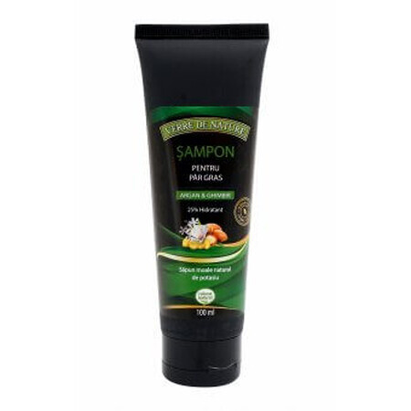 Sampon pentru par gras cu argan, ghimbir si complex vegetal 100 ml, Verre de Nature