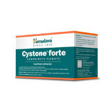 Cystone Forte, 60 comprimate filmate, Himalaya