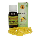 Propolis, 30 gélules, Institut de l'Abeille