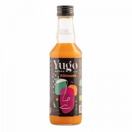 Suc de catina ecologic Yugo, 250 ml, Elgeka