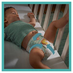 Pampers Active Baby 4 Maxi MSB (180)