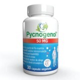 Pycnogenol, 50 mg, 30 capsule vegetale, Justin Pharma