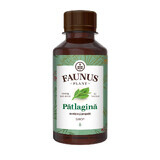 Sirop de Patlagina, 200 ml, Faunus Plant