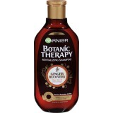 Botanic Therapy Şampon cu ghimbir organic şi miere, 400 ml