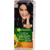 Color Naturals Vopsea de păr permanentă 2.10 Negru Albăstrui, 1 buc