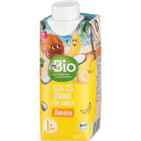 DmBio băutură de cocos cu banane ECO, 330 ml