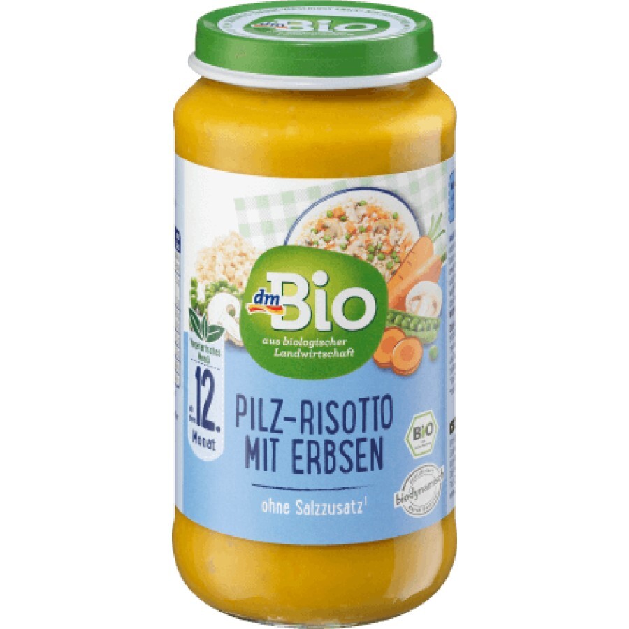 DmBio Meniu vegetarian risotto cu ciuperci si mazăre ECO 12+, 250 g