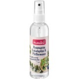 Profissimo Spray petru încăperi eucalipt, 100 ml