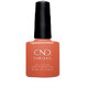 Cnd